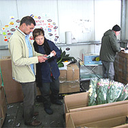 Professional flower export services