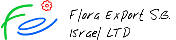 Flora Export S.G. - direct wholesale flowers delivery by air from Israel